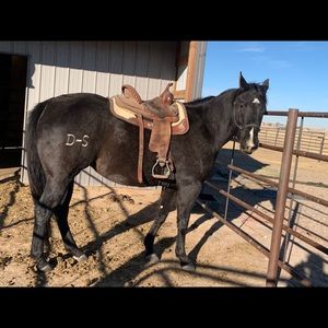 Meet your Posher, Alaina